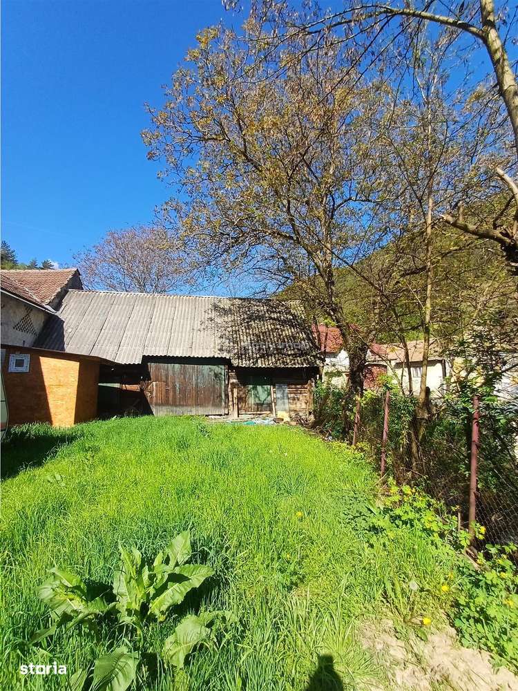 Teren intravilan cu toate utilitatile in sat de munte - Imagine principală: 5/7