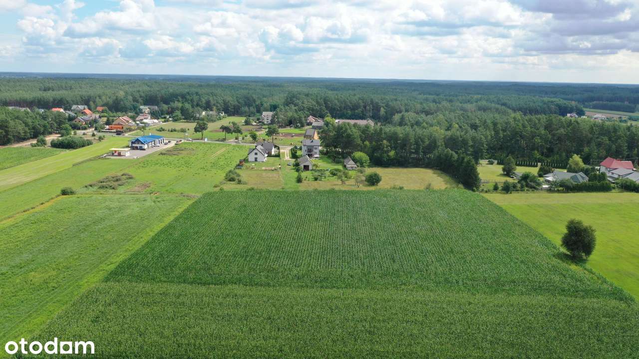 Cudowna działka na peryferiach Kadzidła - Pełny obrazek: 4/10