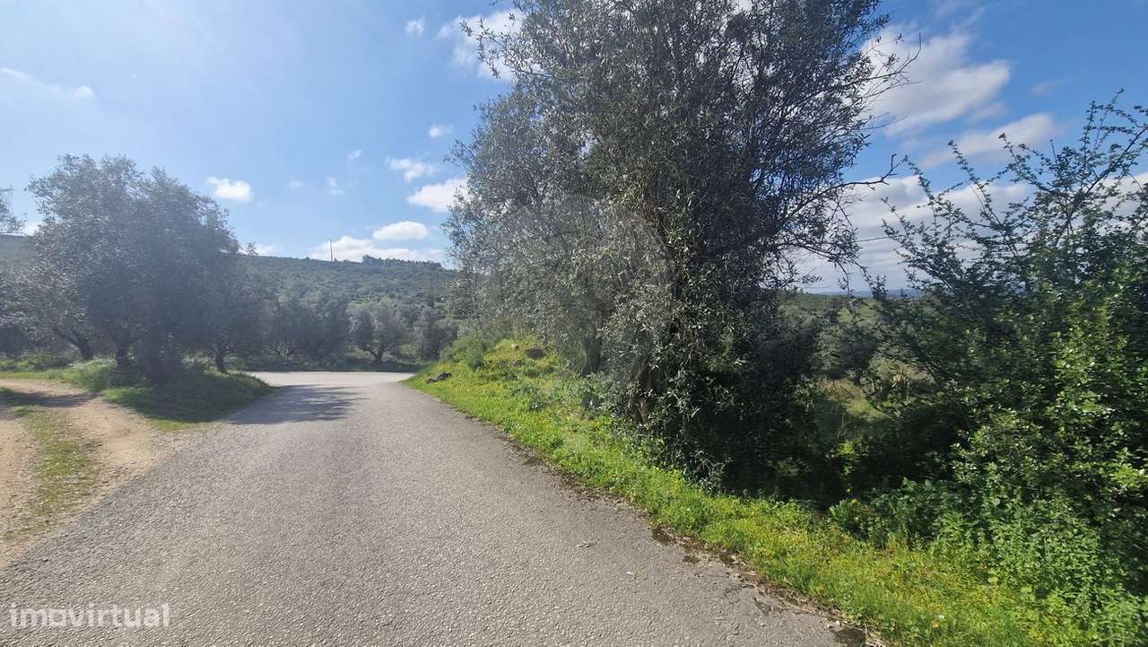 Terreno  para venda - Grande imagem: 5/9