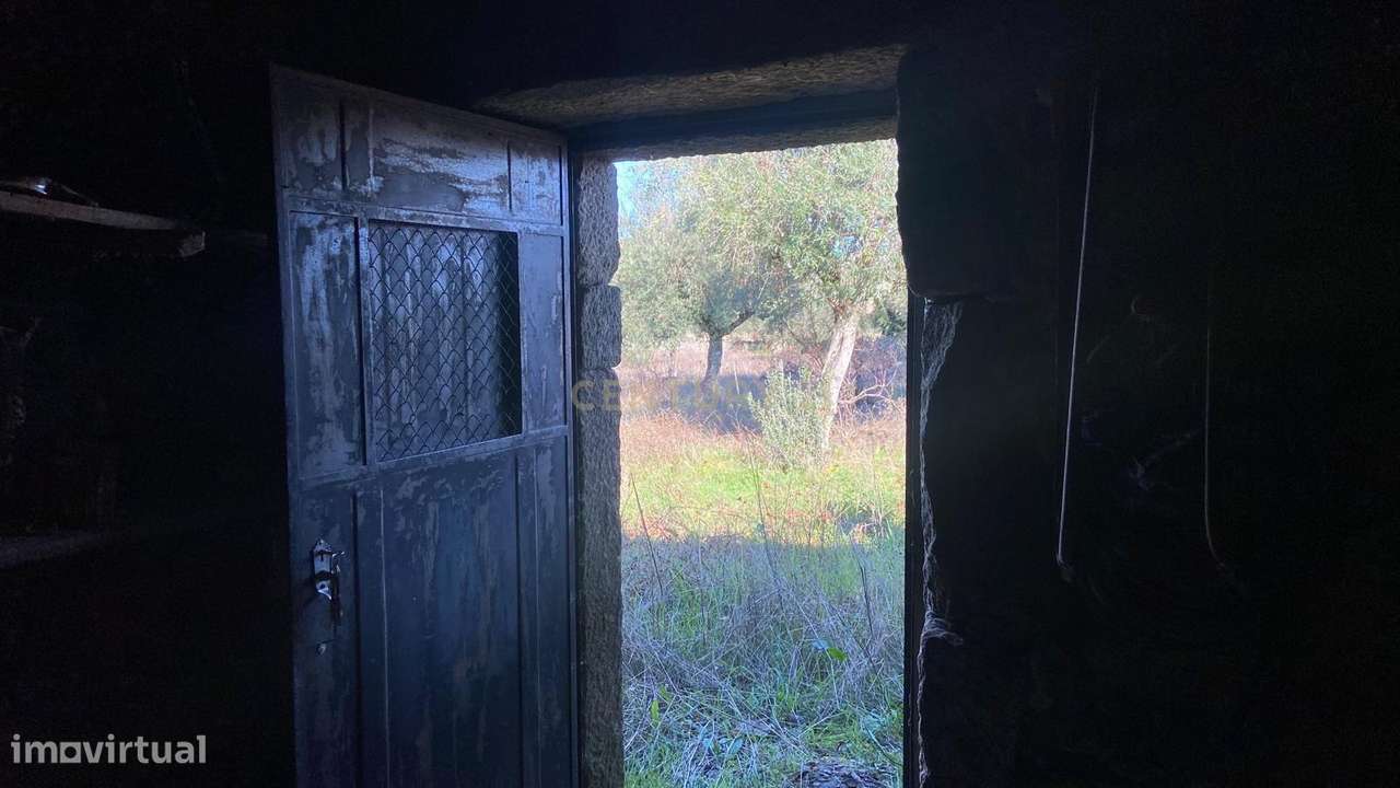 Quinta Murada e Isolada em Escalos de Baixo, Castelo Branco - Grande imagem: 3/20