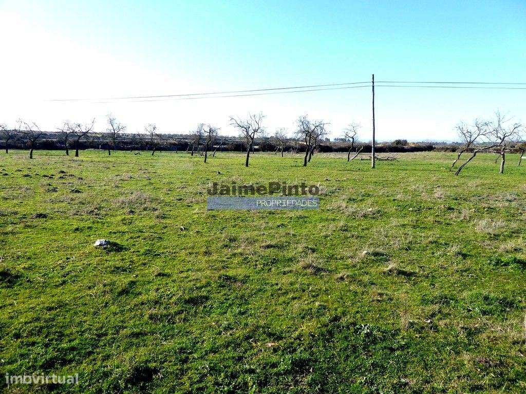 Casa de Campo em ruína em 15 000m2. Portugal, Guarda, F. C. Rodrigo - Grande imagem: 4/4