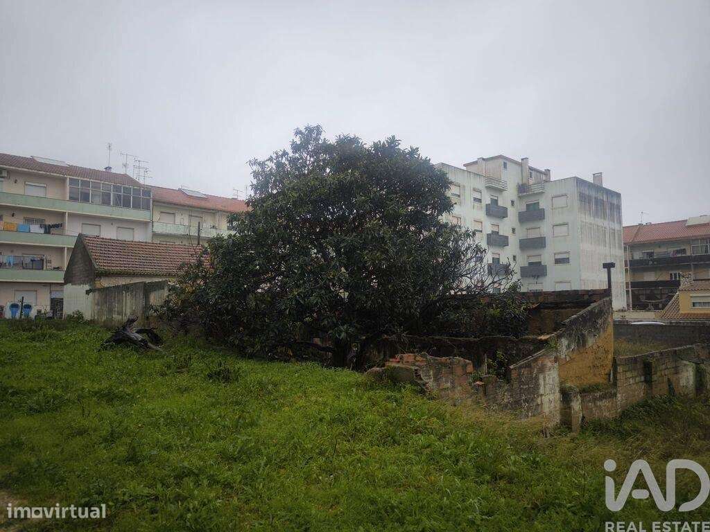 Casa / Villa T1 em Seixal, Arrentela e Aldeia de Paio Pires - Grande imagem: 4/6