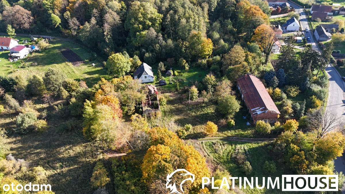 Działka 2000 m² – cisza i zieleń Buchałowa; WZ - Pełny obrazek: 5/8