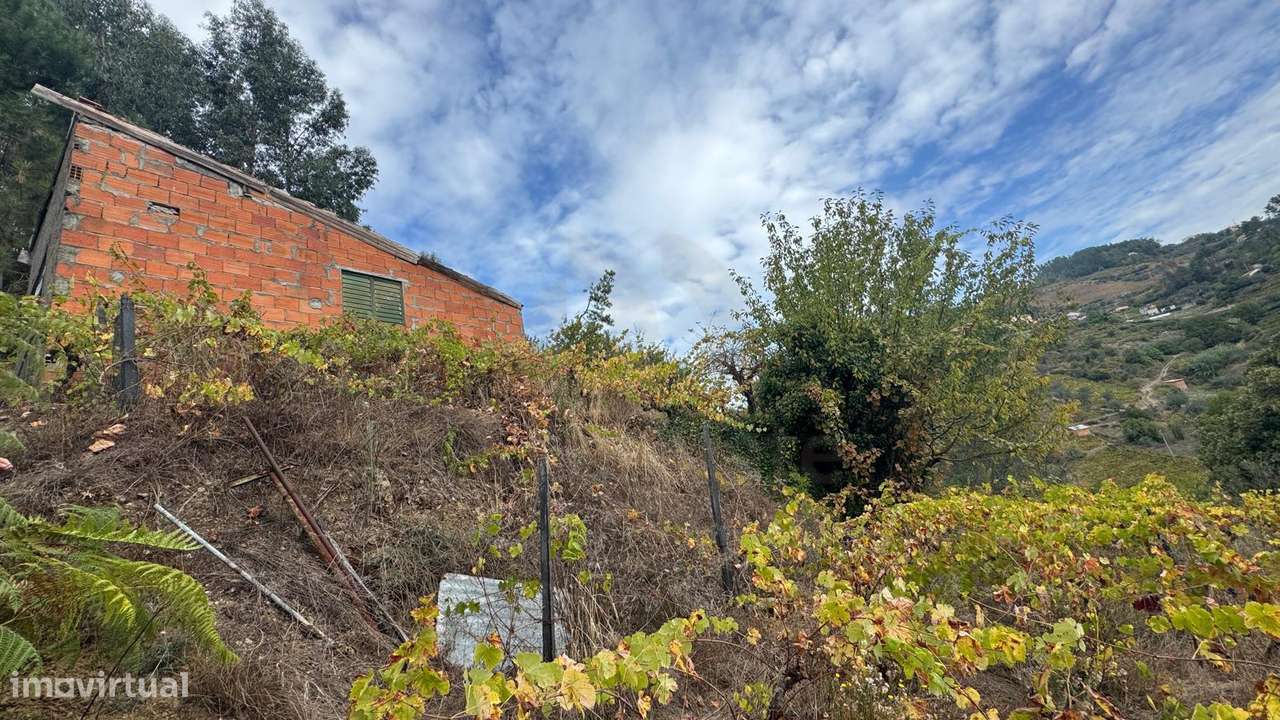 Quinta em Sedielos, Peso da Régua-10