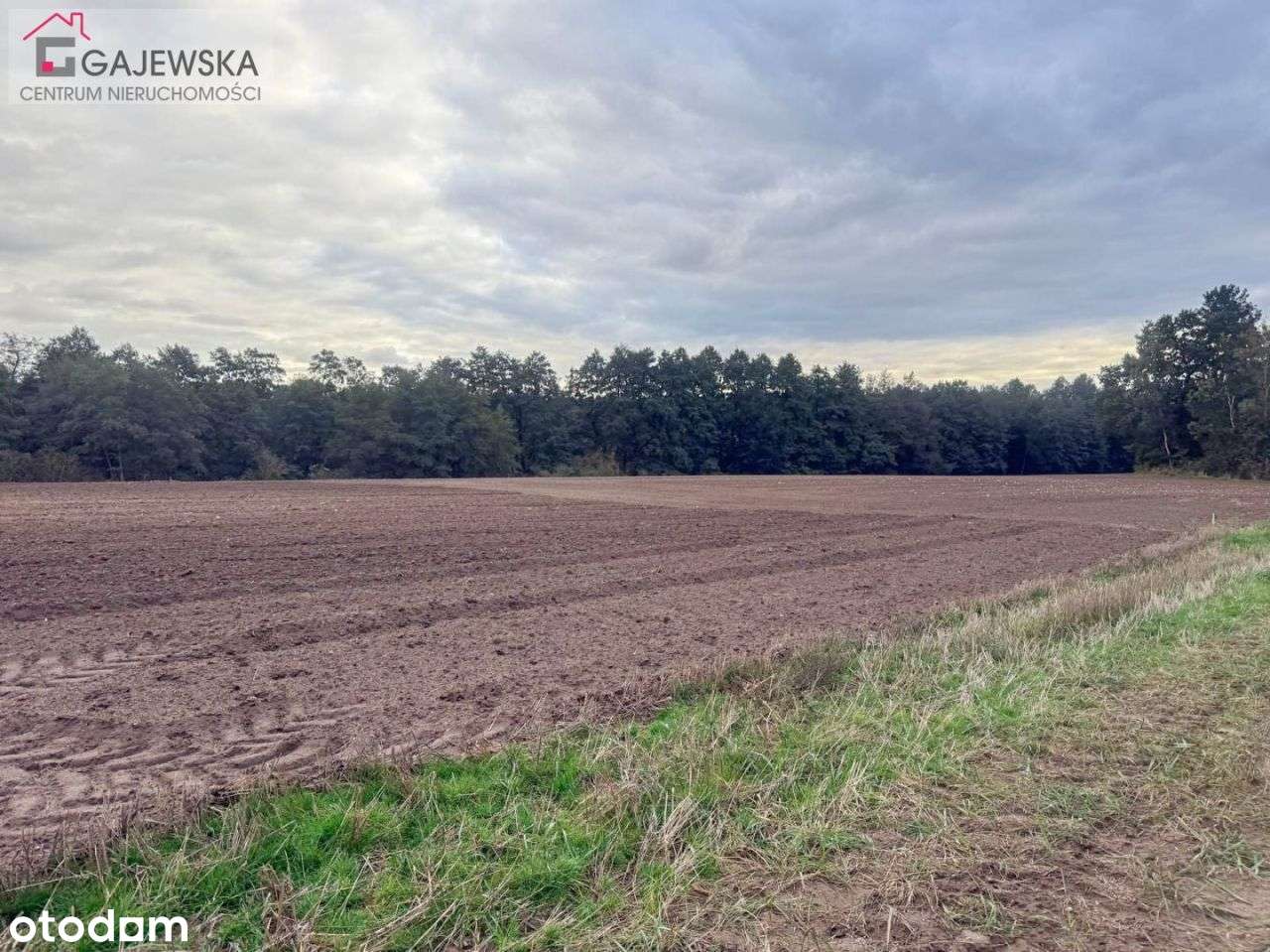 Działka z bezpośrednim dostępem do J.Wapieńskiego - Pełny obrazek: 4/14