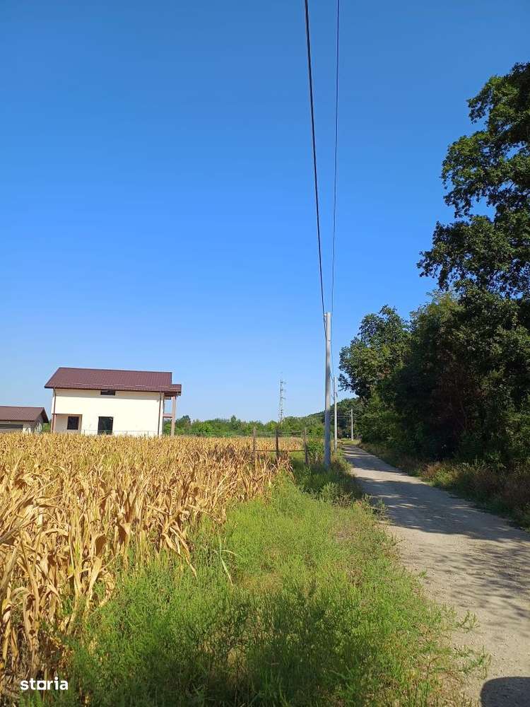 Teren de Vânzare 17.000 mp,Mihai Voda comuna Bolintin Deal-6