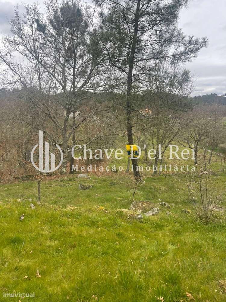 Terreno Misto  Venda em São Miguel do Mato,Vouzela - Grande imagem: 4/4