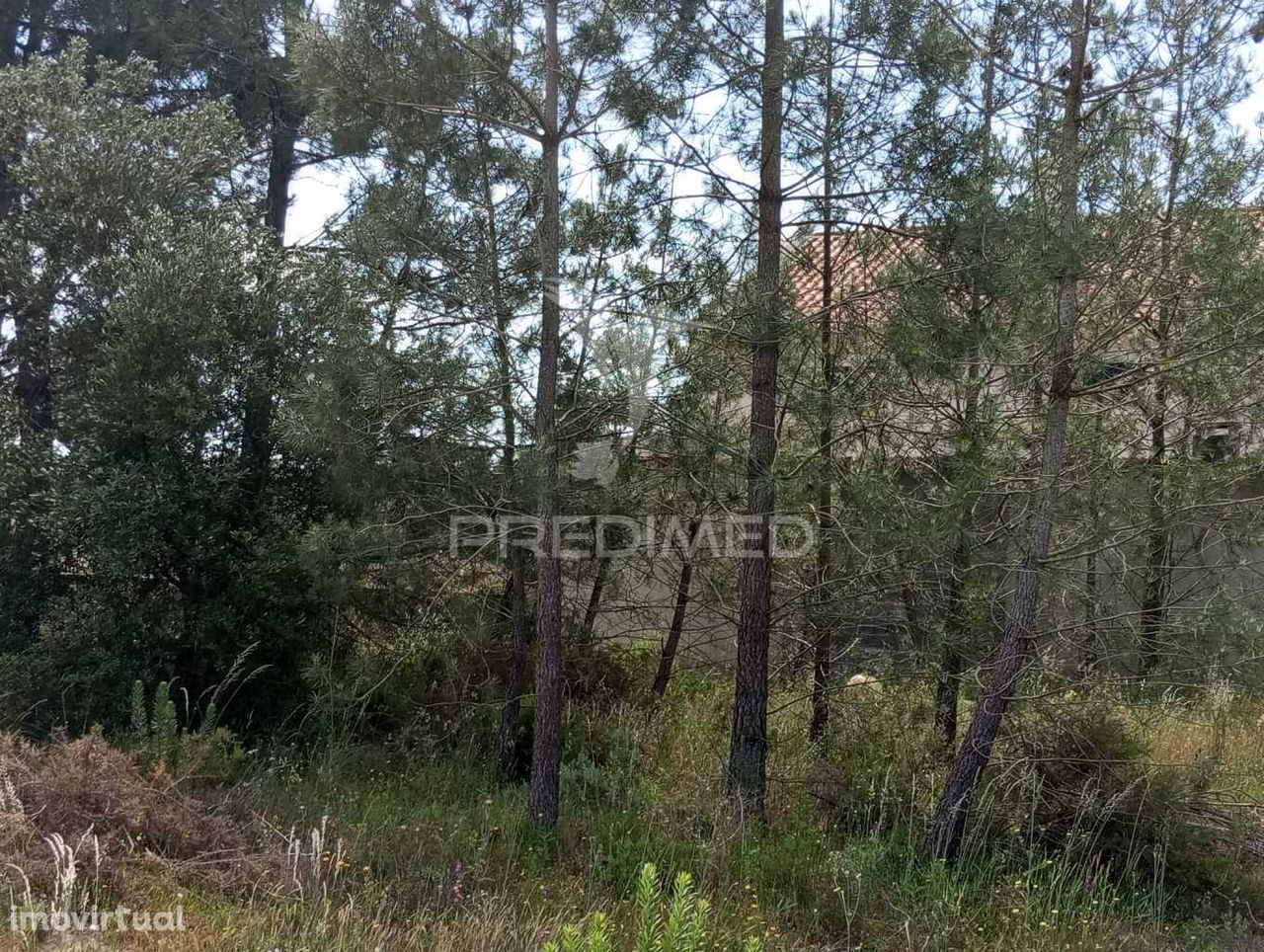 Terreno Urbano na Quinta da Marquesa I, Quinta do Anjo