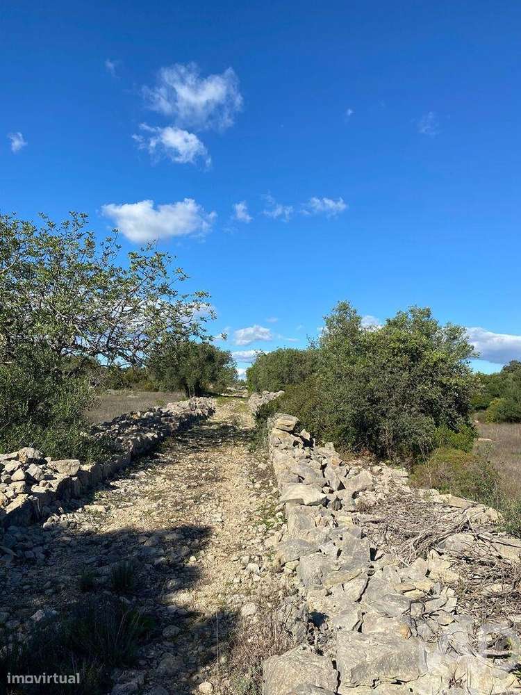 Terreno Agrícola em São Brás de Alportel de 7100,00 m2 - Grande imagem: 2/15