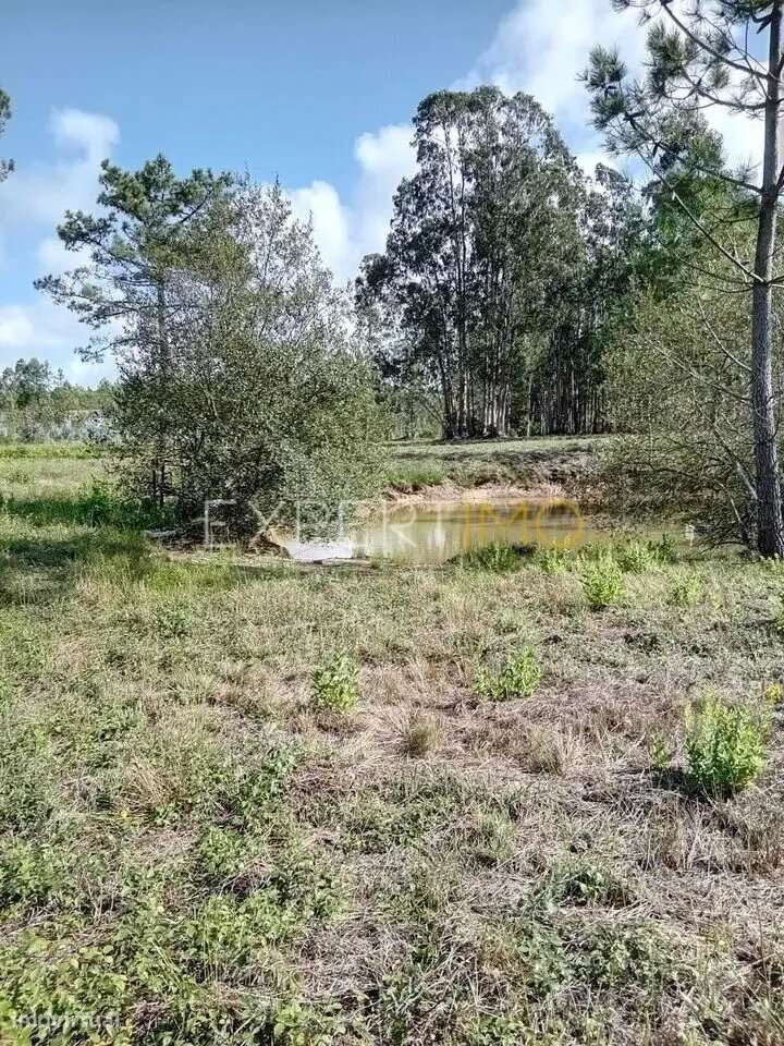 Terreno para construção Pataias Alcobaça - Grande imagem: 4/4