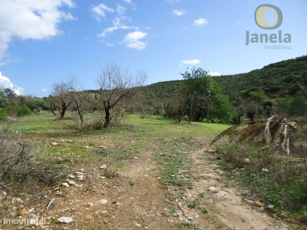 Terreno com 4,3 hectares para projecto Turístico - Grande imagem: 2/3