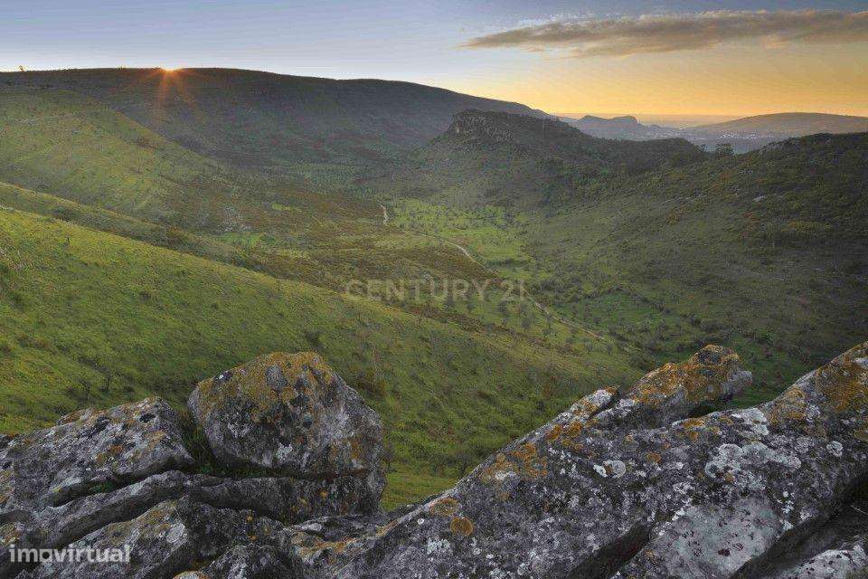 Terreno Espetacular em Alvados, Porto de Mós - 30.730m² - Grande imagem: 3/3