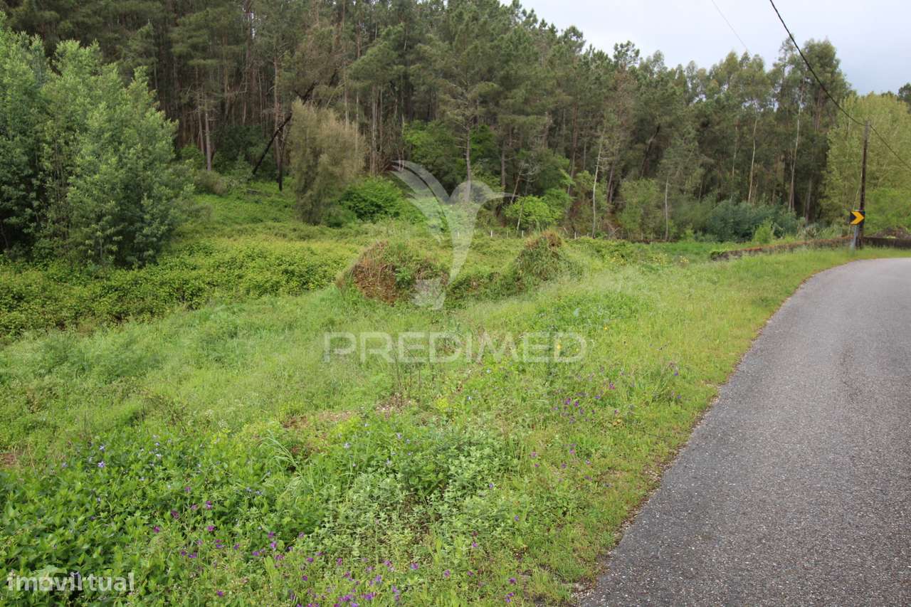 Agora com BAIXA de PREÇO  Terreno com possibilidade de  construção - Grande imagem: 3/33