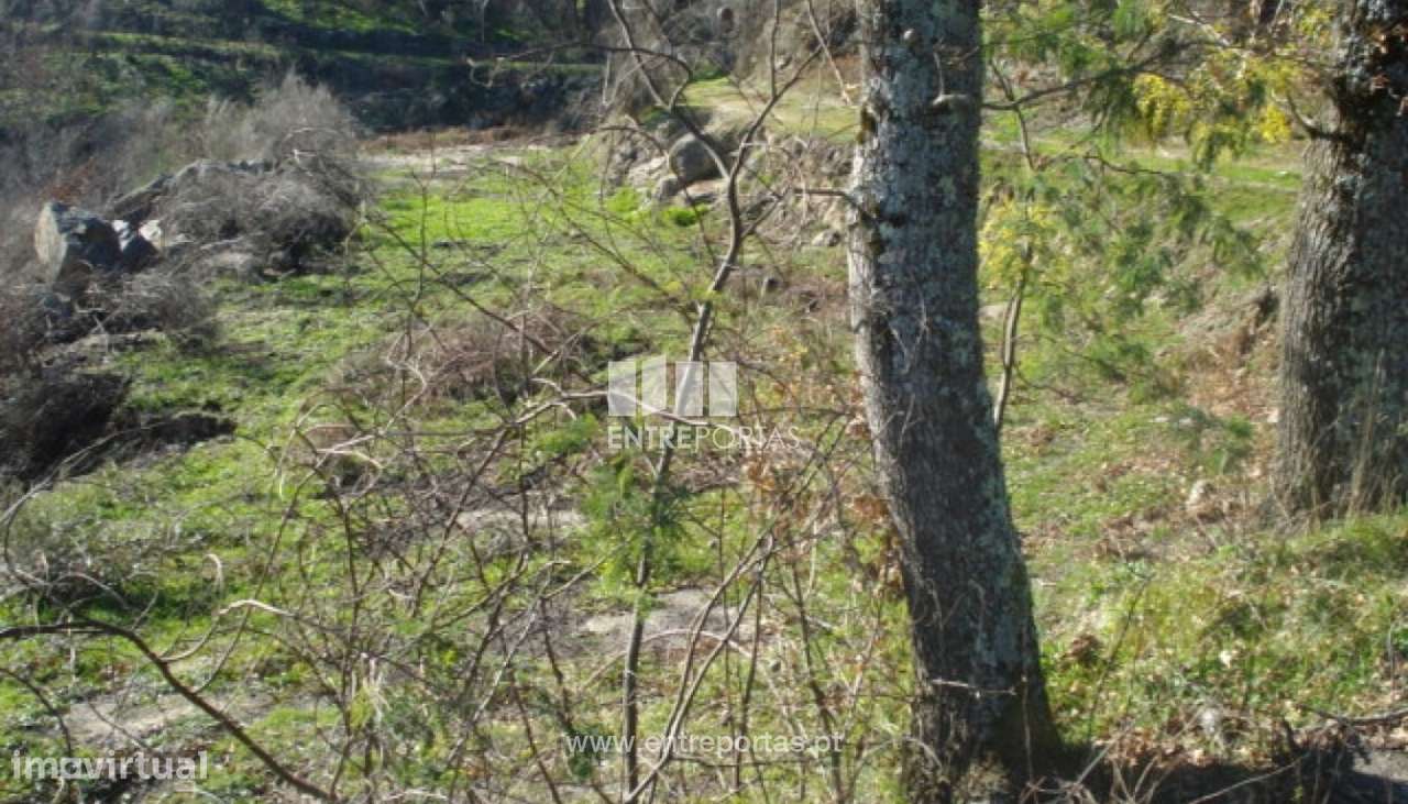 Venda Terreno, Grilo, Baião - Grande imagem: 3/7