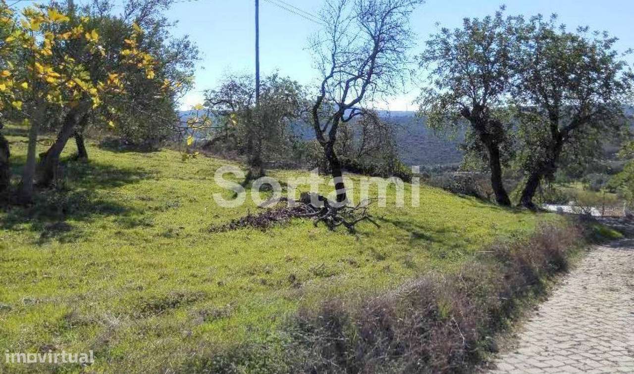 Terreno Rústico  Venda em São Brás de Alportel,São Brás de Alportel - Grande imagem: 3/5