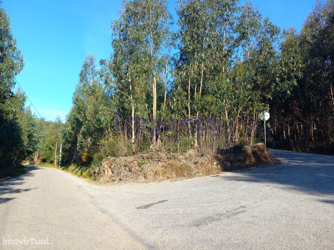 Terreno Rústico  Venda em Escariz,Arouca