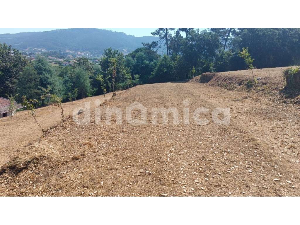 Novidade - Santo Tirso! T3 Duplex-10