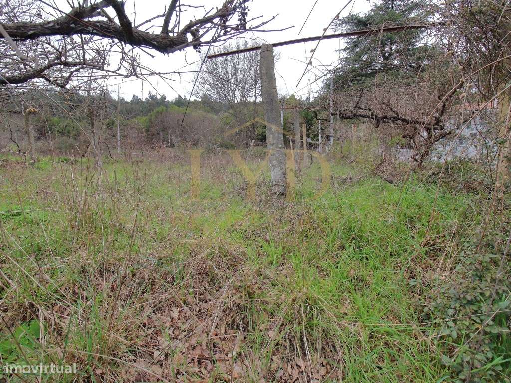 Quintinha para recuperar em Luzim Penafiel-9
