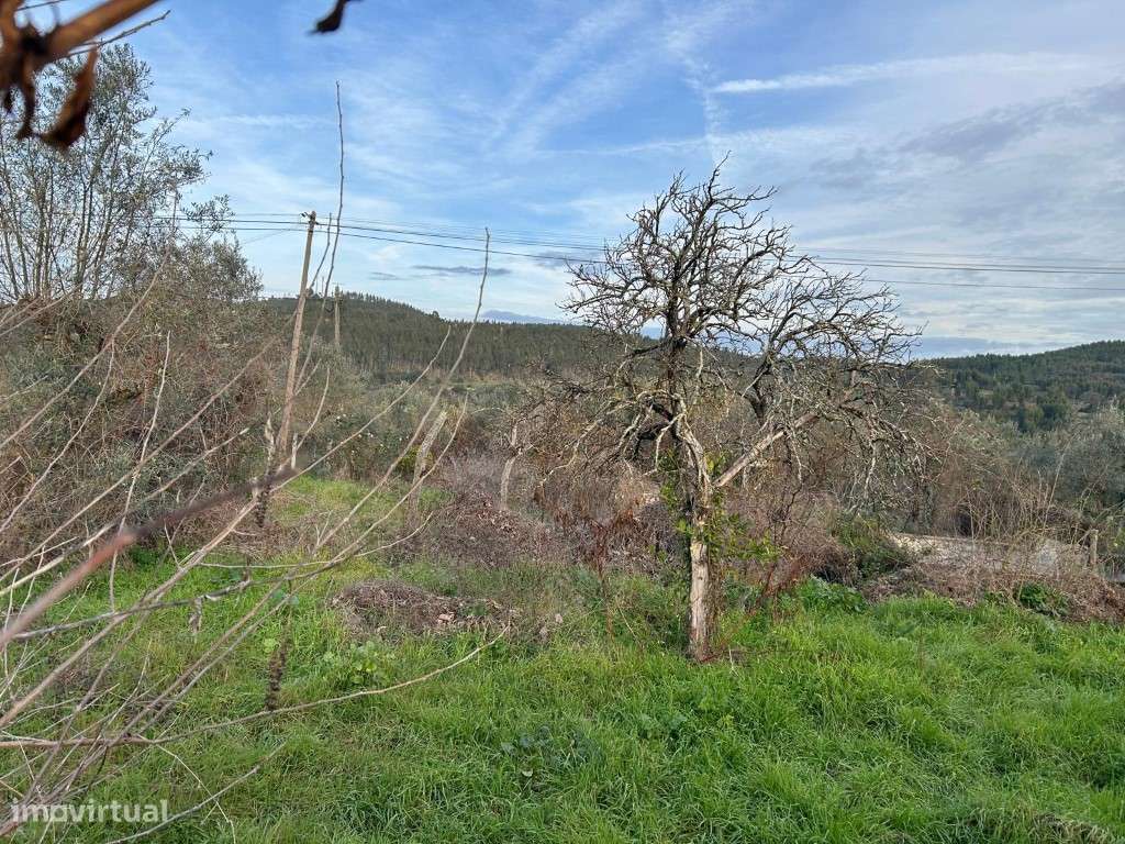 Terreno urbano - Grande imagem: 4/12