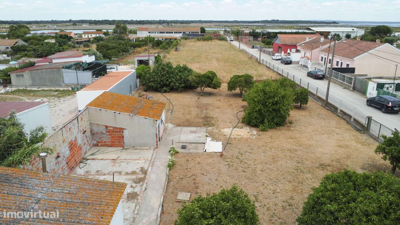 Quintinha com 2 Casas | 5464 m² | Mourisca - Setúbal - Grande imagem: 3/60