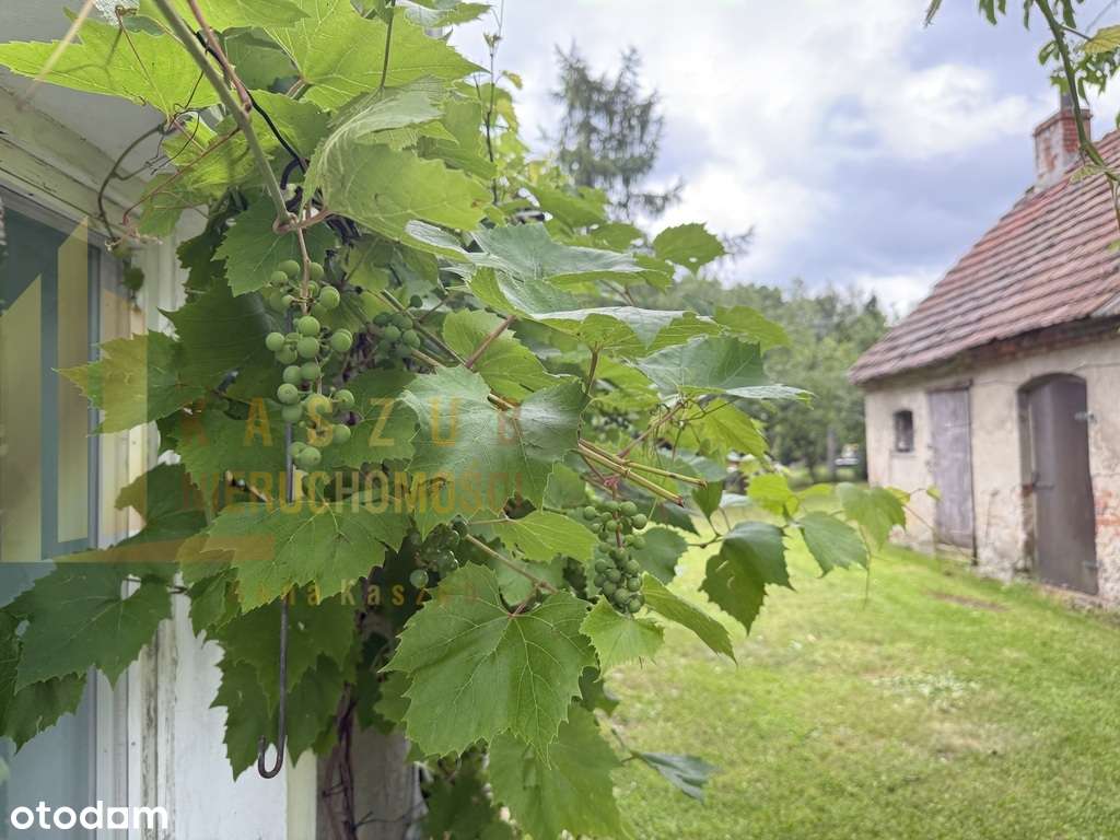 Posiadłość z potencjałem 0,72 ha Olbrachtów