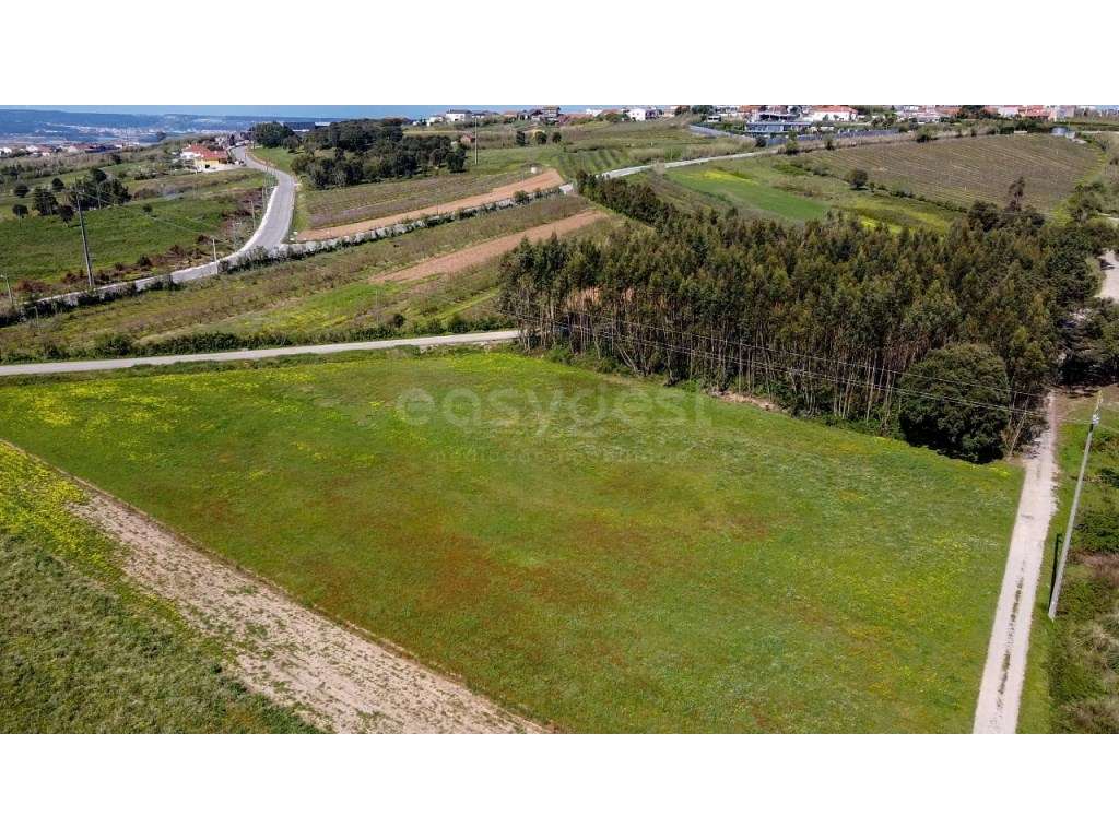 Terreno com 17.400 m² em Óbidos localização estratégica entre natur... - Grande imagem: 2/12