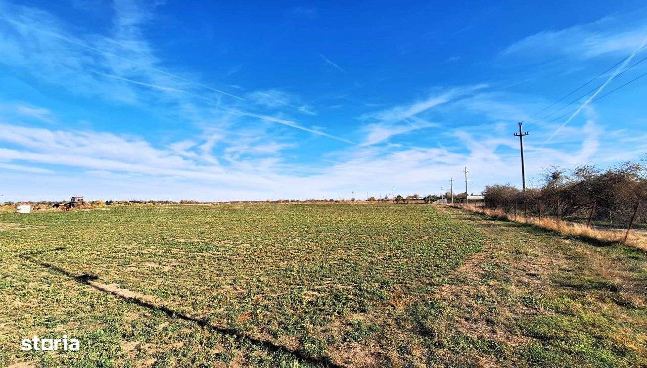 Proprietate deosebita Adunatii Copaceni, teren: 54.141 mp, comision 0% - Imagine principală: 4/9