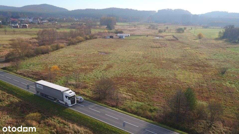 Działka 2ha-płaska, przy głównej drodze, budowlana - Pełny obrazek: 5/13