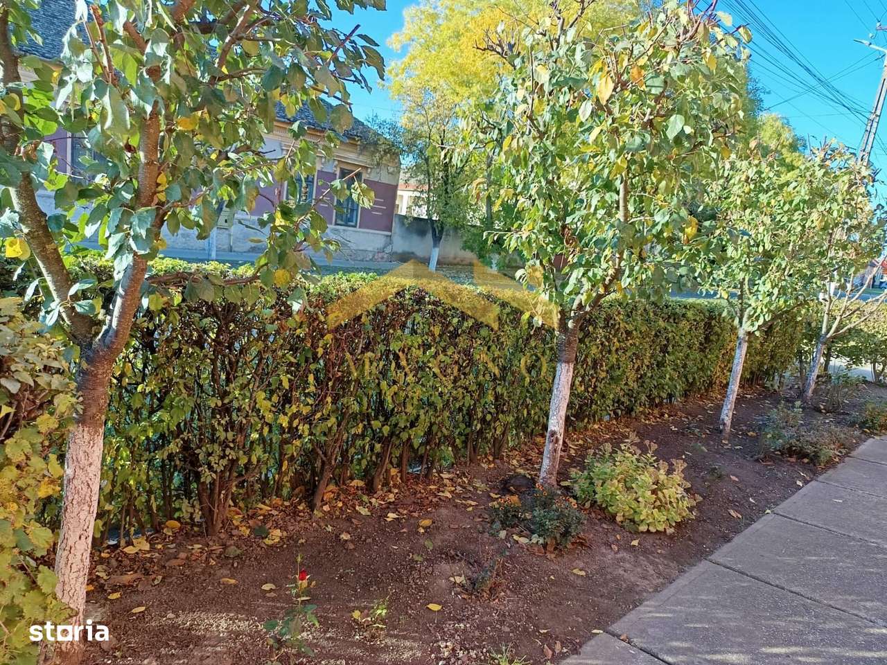 Casa de vanzare in Vladimirescu in zona primariei.-10