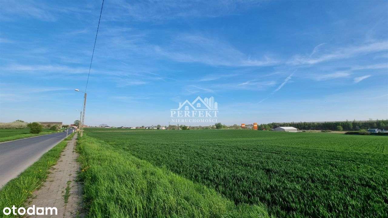 Dz.inwest. 1,5 ha na obiekty przemysłowe ~Mpzp: 5P - Pełny obrazek: 3/7