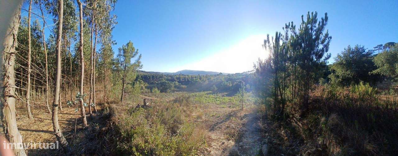 Terreno Rústico em Alcoentre c/ Furo, a 30 minutos de Lisboa - Grande imagem: 5/11