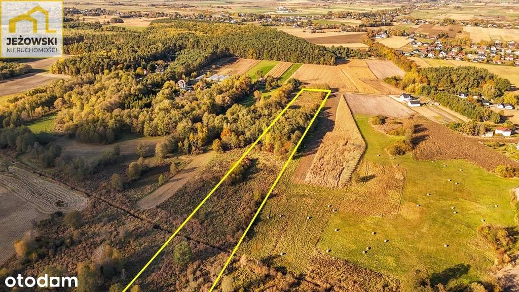 2,28 ha działka z częścią bud. – Starachosław - Pełny obrazek: 4/5