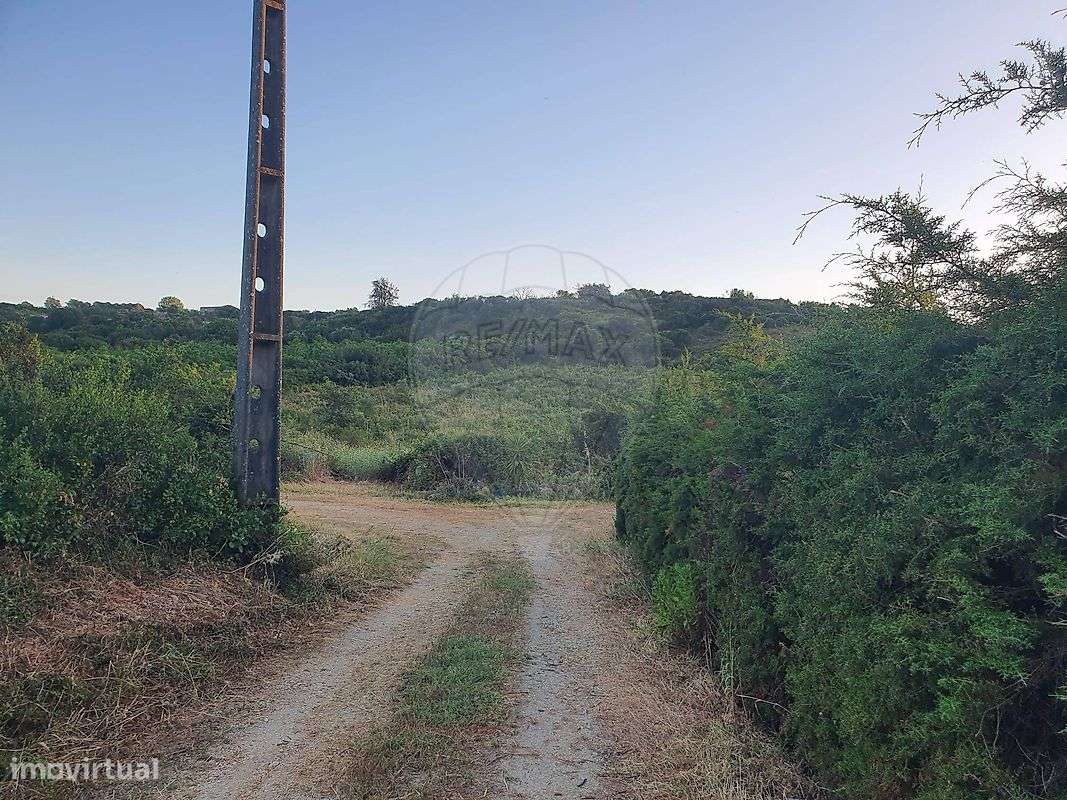 Terreno  para venda - Grande imagem: 4/6