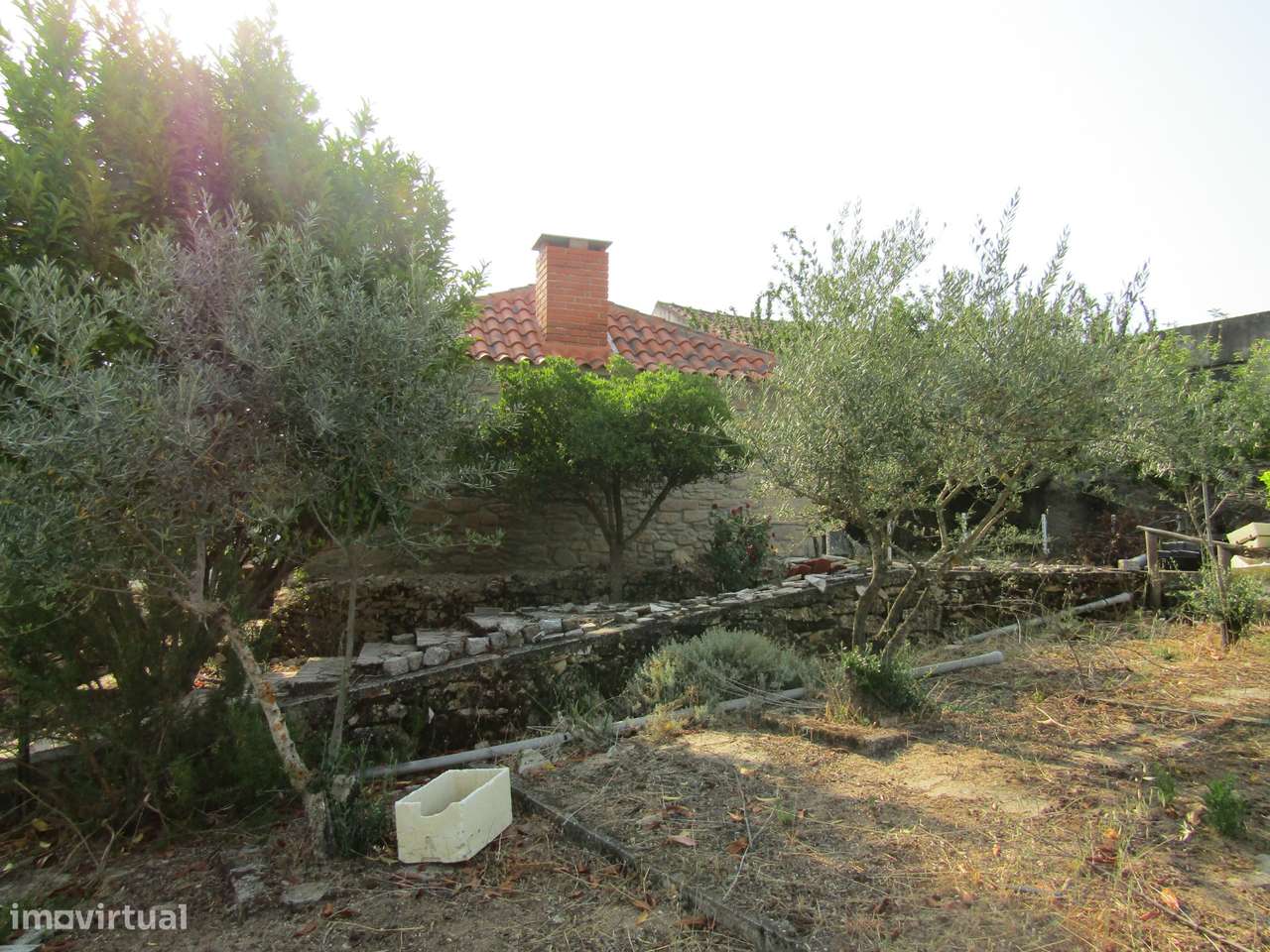 Quintinha em Caçarelhos, Vimioso-17