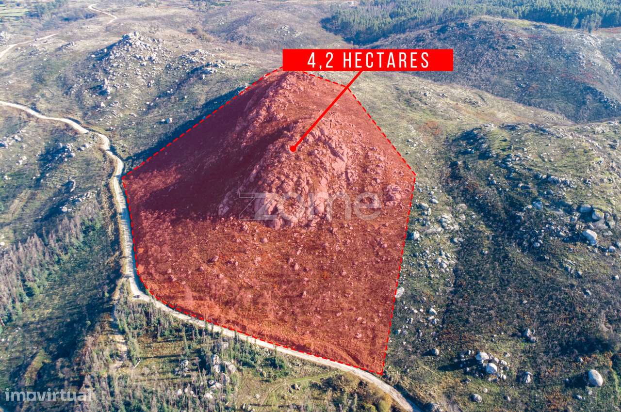 Terreno florestal com 4.2 hectares em Marco de Canaveses - Porto - Grande imagem: 2/7