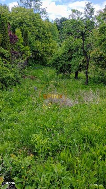 Teren intravilan cu deschidere la parau in Breaza – Strada Primaveri - Imagine principală: 4/11