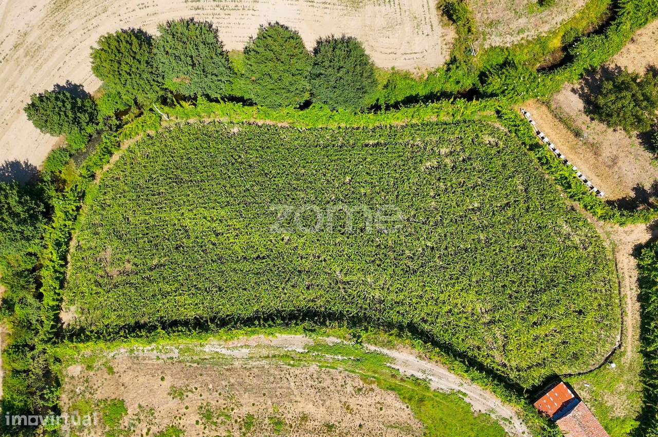 Terreno, 2 386 m², São Gens-14