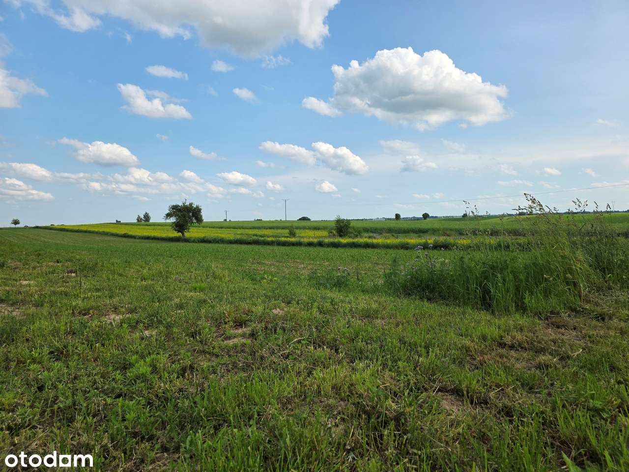 Działka MR_ możliwość podziału_szybki dojazd S17 - Pełny obrazek: 4/4