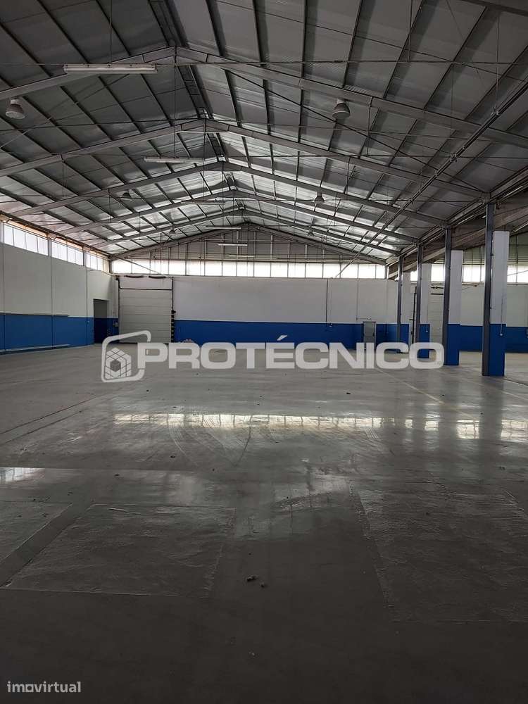 Armazém p/ Indústria – Águeda - Grande imagem: 5/11