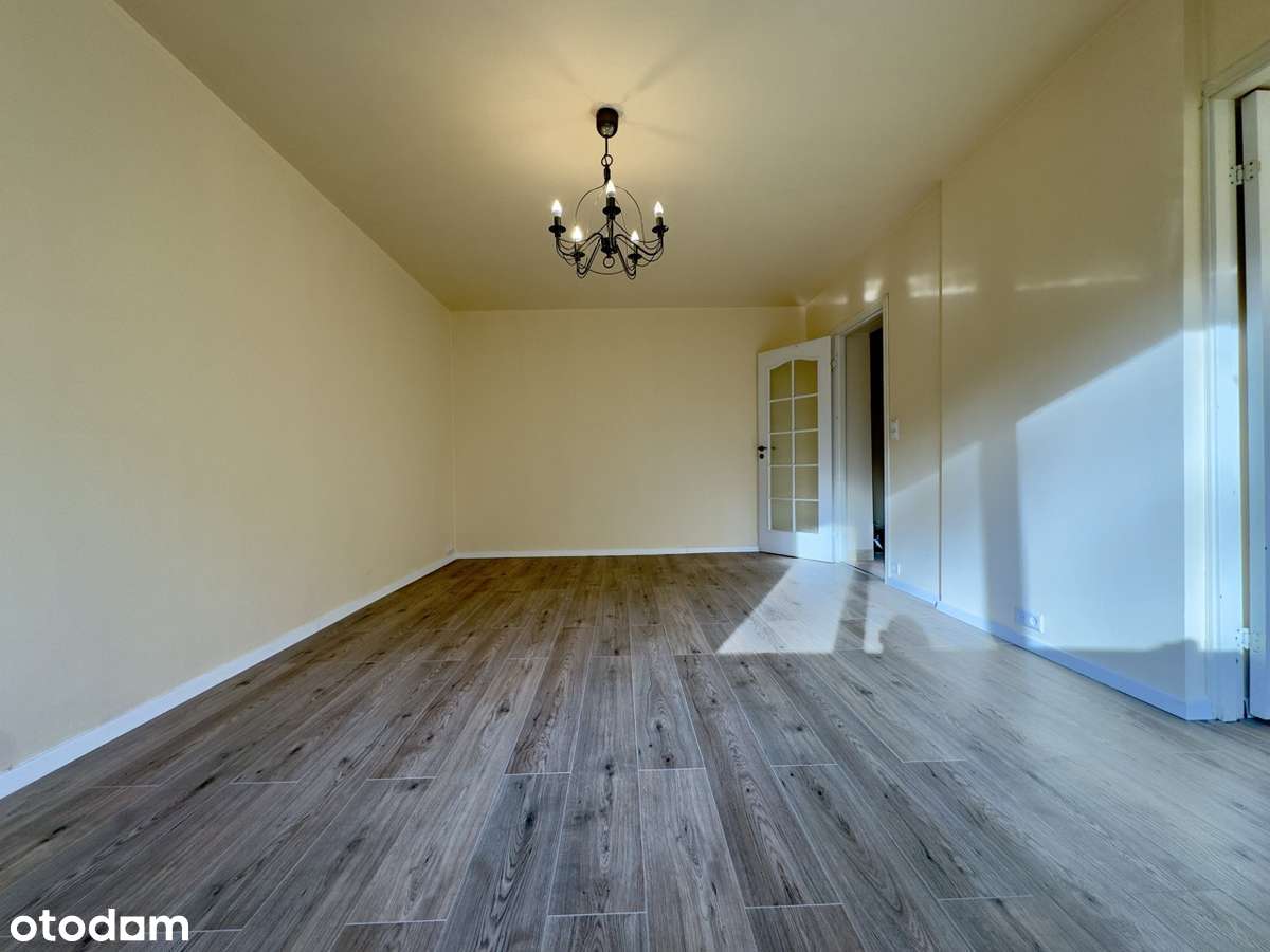 Wspaniałe 2 pokojowy lokal na parterze | Idealne na biuro lub salon - Pełny obrazek: 3/14