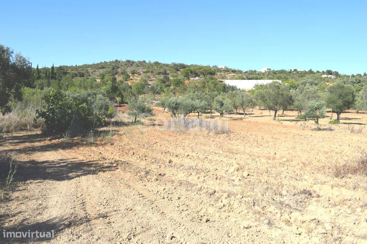 Terreno Rústico  Venda em Boliqueime,Loulé - Grande imagem: 4/6
