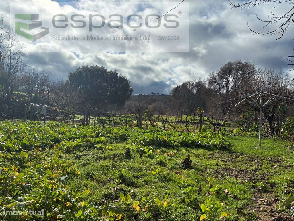 Magnifica Quinta a confinar com Rio Zêzere-21