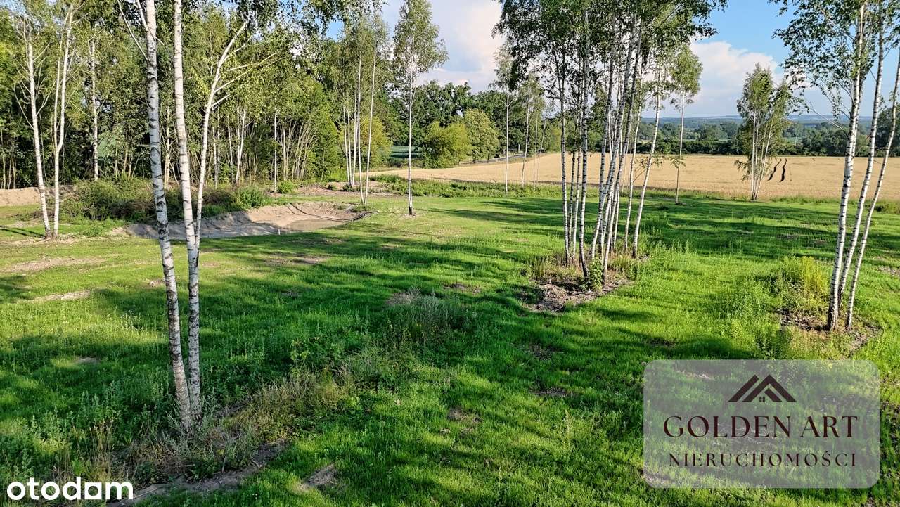 Działka na sprzedaż: Gmina Pasłęk | 5306 m² | WZ | Oczko wodne-6