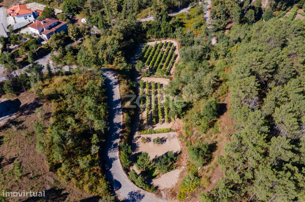 Terreno Rústico em Gatão, Amarante. - Grande imagem: 4/27