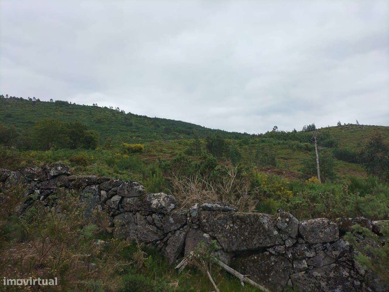 Terreno VIEIRA DO MINHO - Grande imagem: 3/3