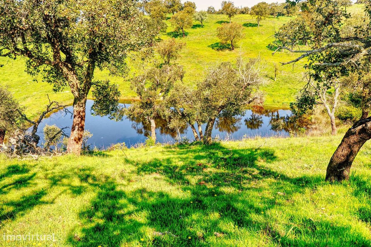 TERRENO EM S.BARTOLOMEU DA SERRA-22