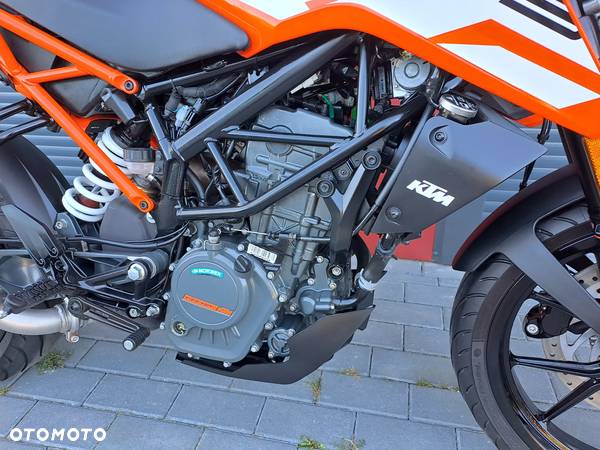 KTM Duke - 8