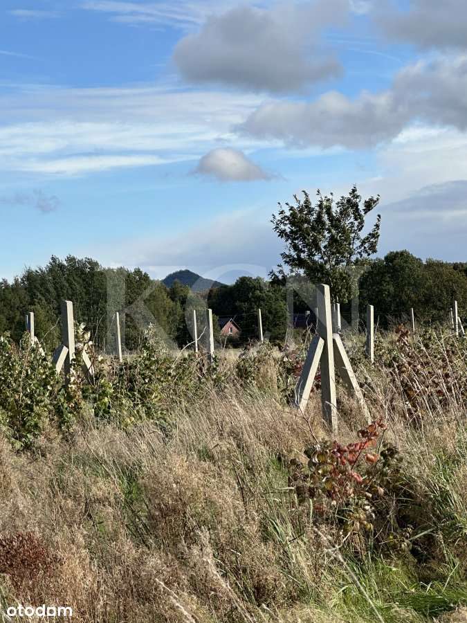 Działka "na odludziu" w miejscowości Dłużec-7