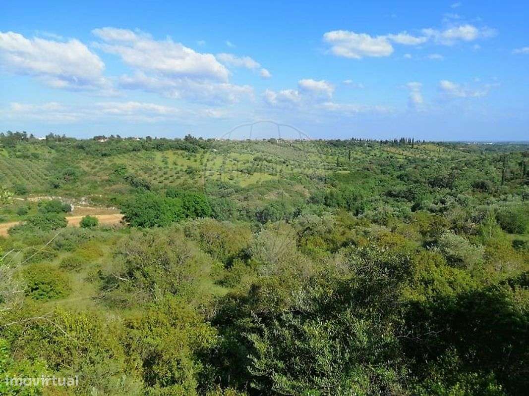 Terreno  para venda - Grande imagem: 4/8