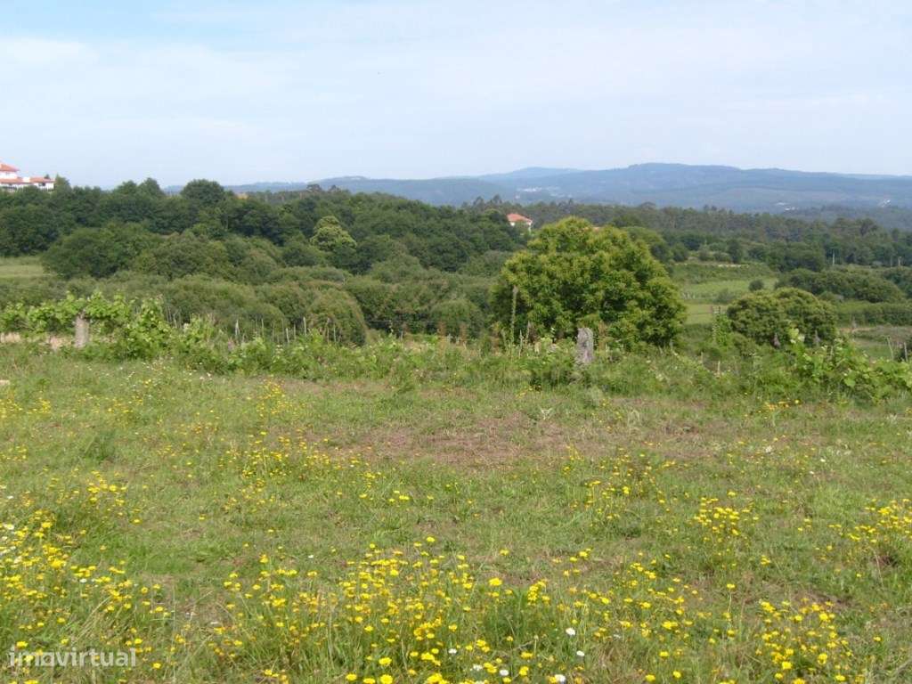 Terreno - Grande imagem: 1/3